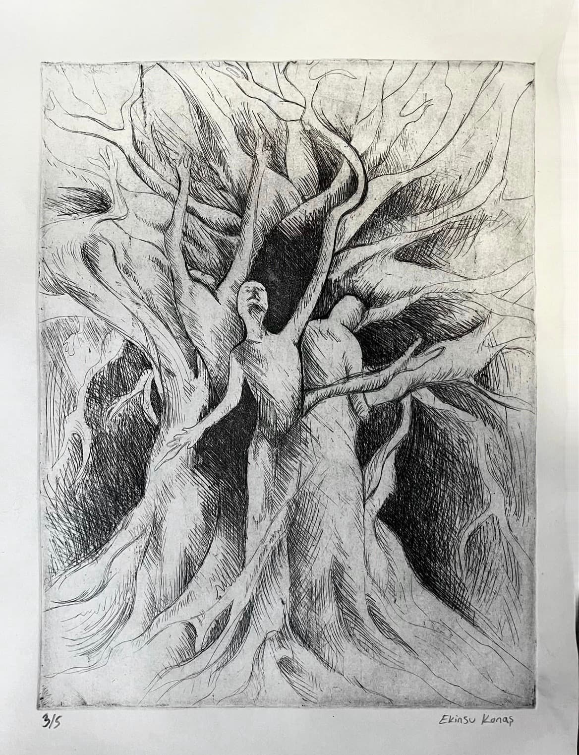 "Kökler"