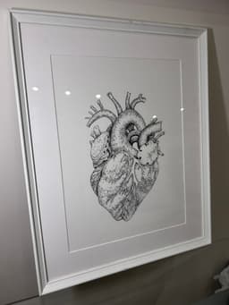 Anatomik Kalp - Görsel 1