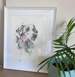 Dalmaçyalı - Görsel 1