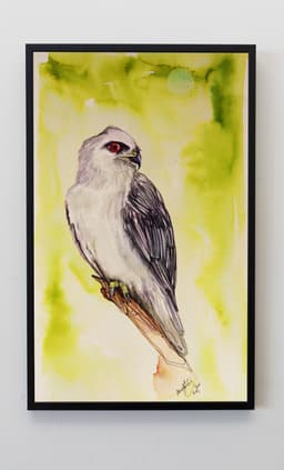 HAWK - Görsel 2