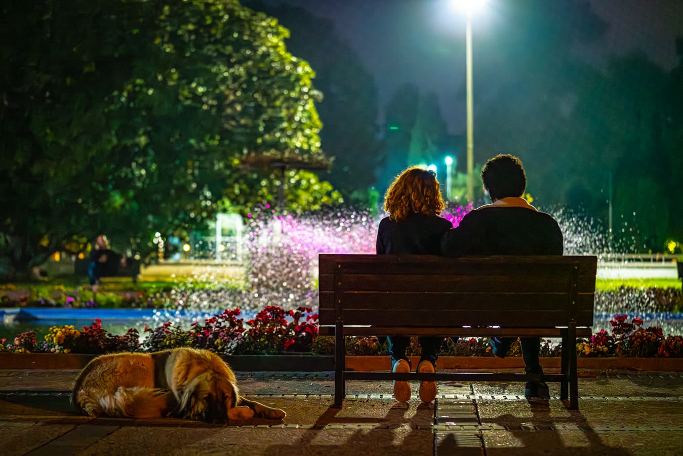 Bankın Hikayesi - Görsel 1