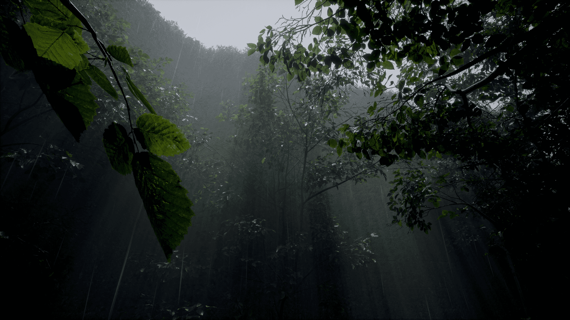 G R E E N - Görsel 1