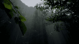 G R E E N - Görsel 1