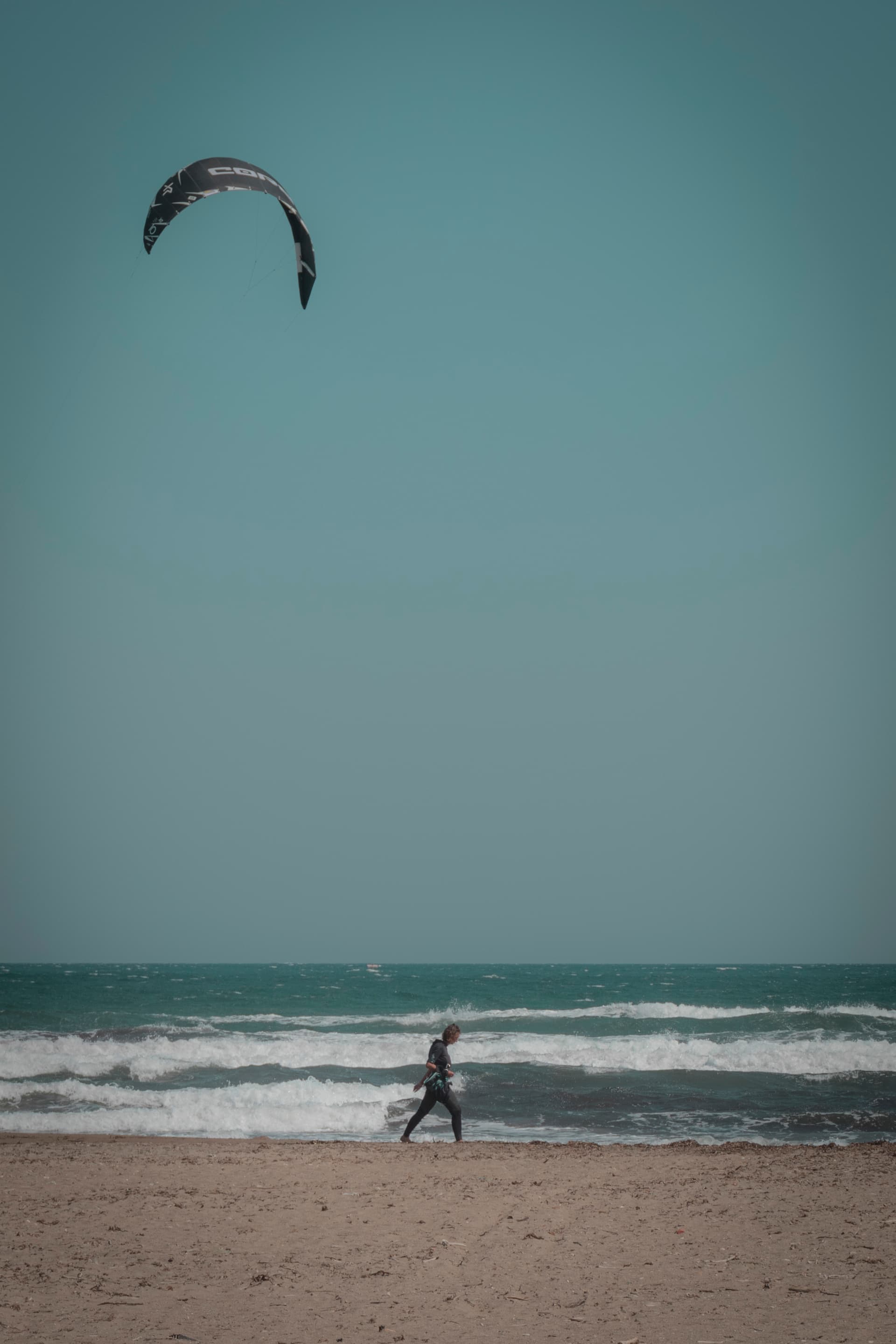 Nevruz Otu - Görsel 3