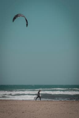 Nevruz Otu - Görsel 3