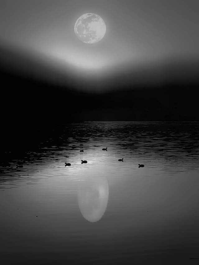 Ay ışığı gölgesi