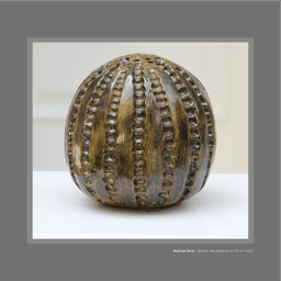 Başlangıç sersi - Görsel 1