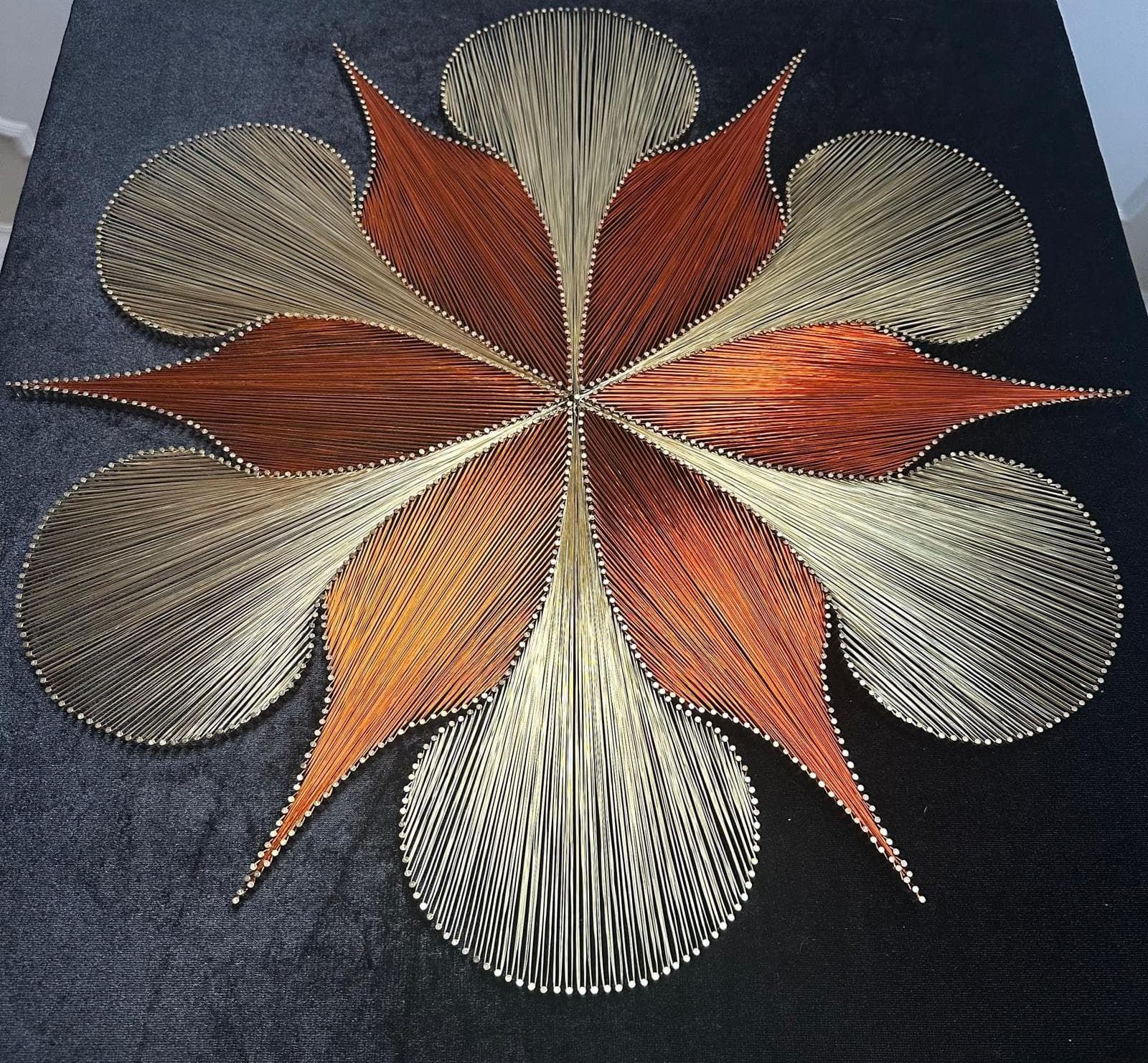 Doğaya Dön - Filografi - Görsel 3