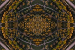 Sonsuz 2 - Görsel 1