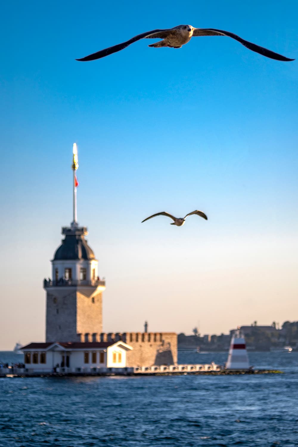 Ardımdaki Güzellik - Görsel 1