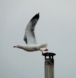 KRİTİK AN.. - Görsel 1