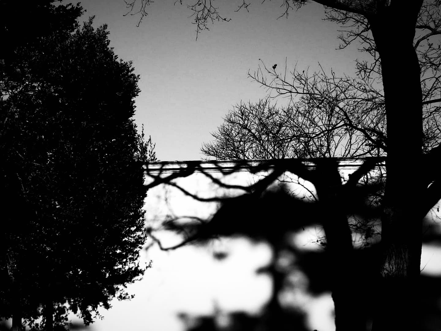 Yanılsama  - Görsel 1