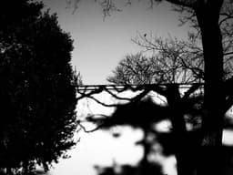 Yanılsama  - Görsel 1