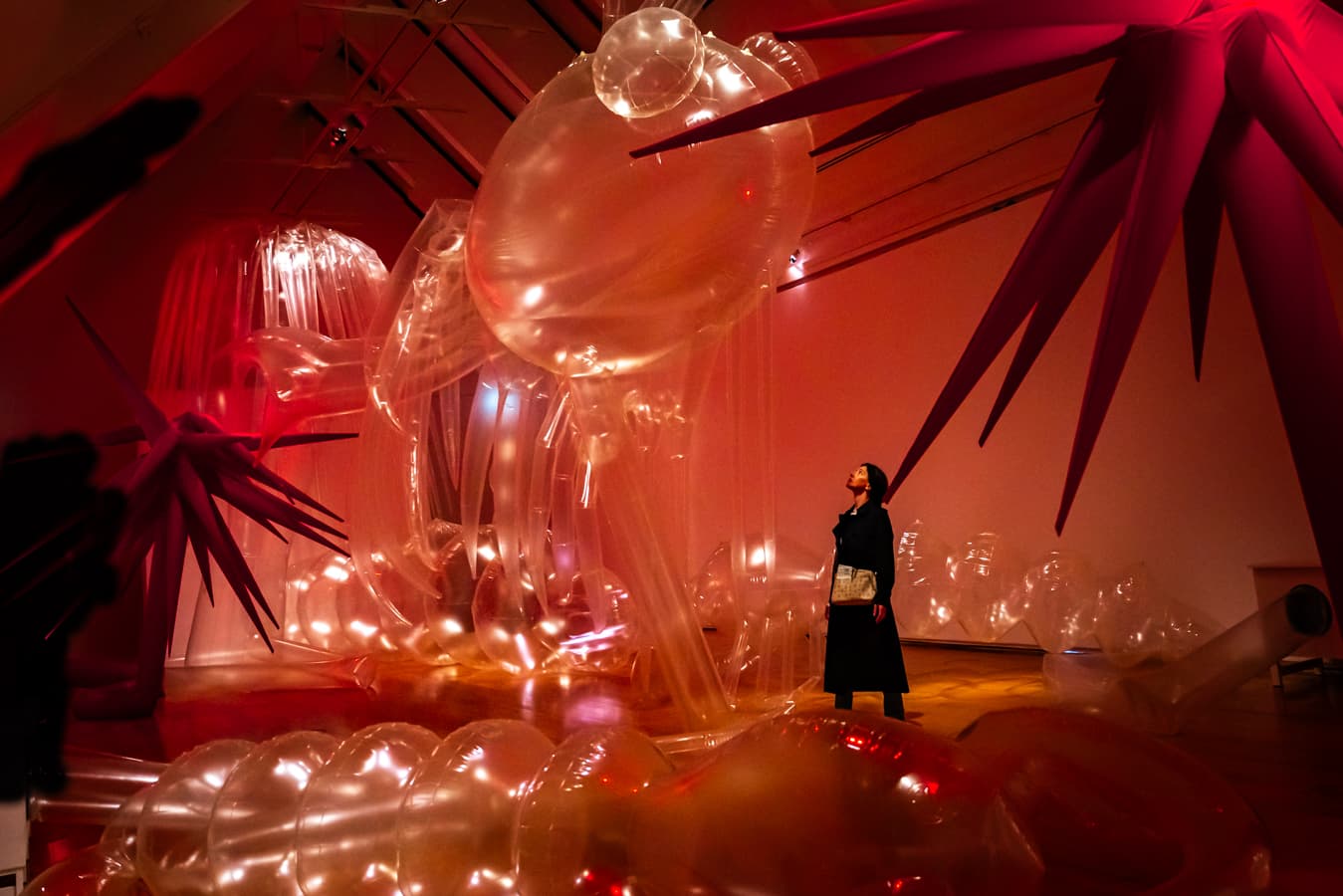 Woman in Red - Görsel 1