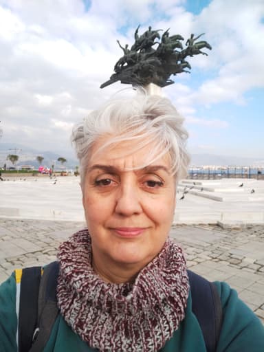 mine tülek, adlı sanatçı profil fotoğrafı