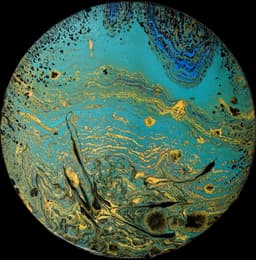 Planet G - Görsel 1