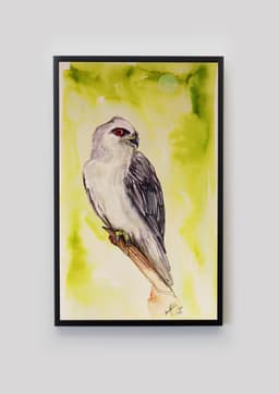 HAWK - Görsel 5