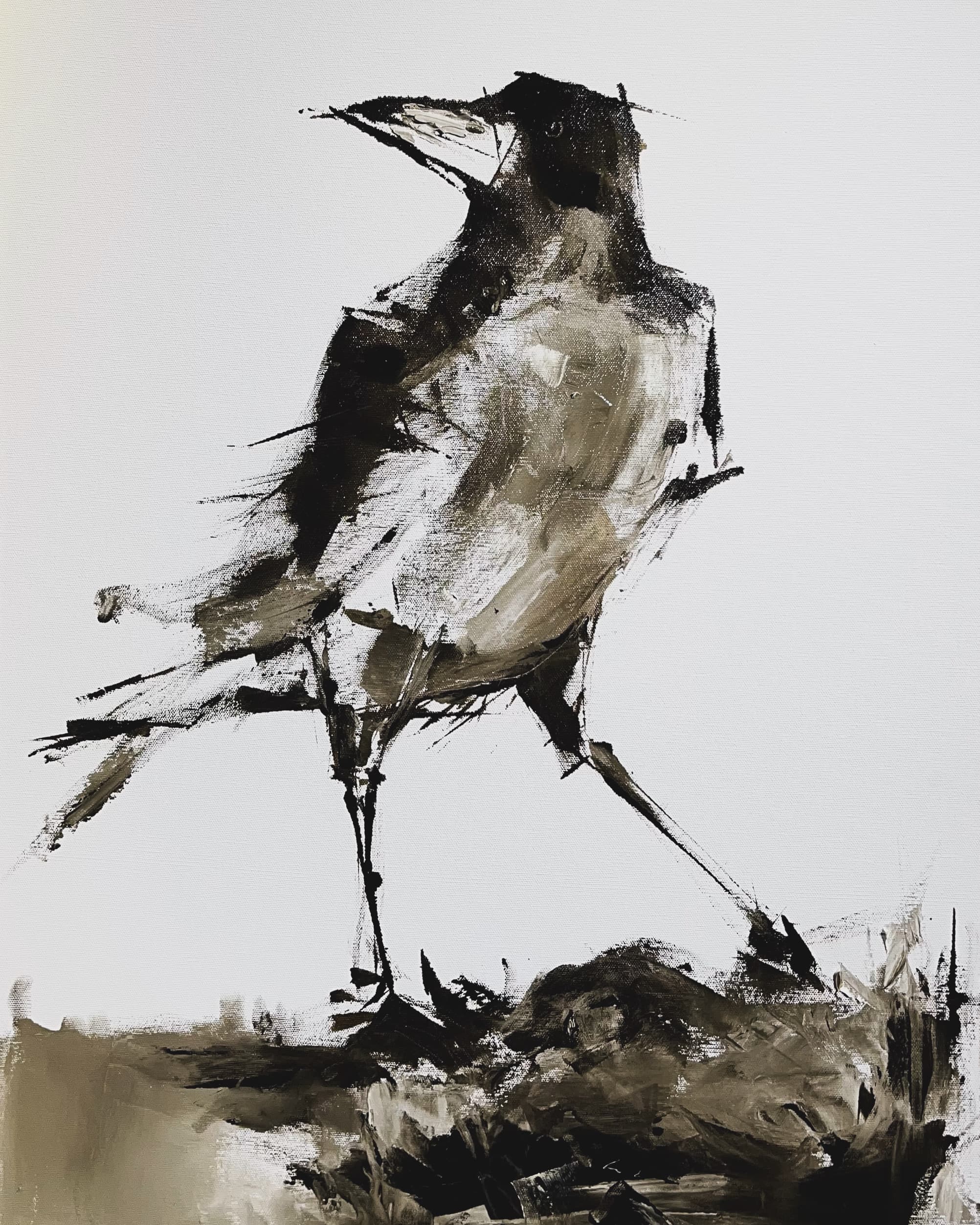 Crow