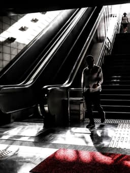 Yalnızlık Merdivenleri - Görsel 1