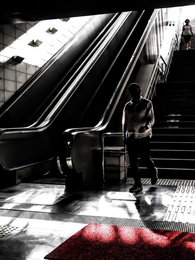 Yalnızlık Merdivenleri