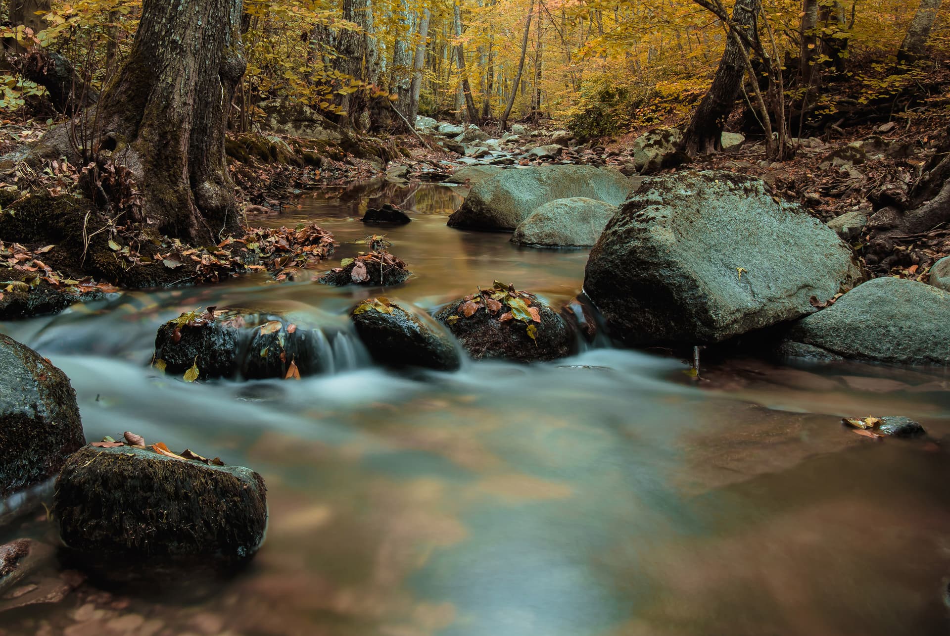 Istrancalar - Görsel 1