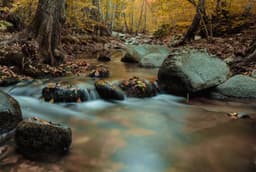 Istrancalar - Görsel 1