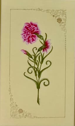 KARANFİL - Görsel 1