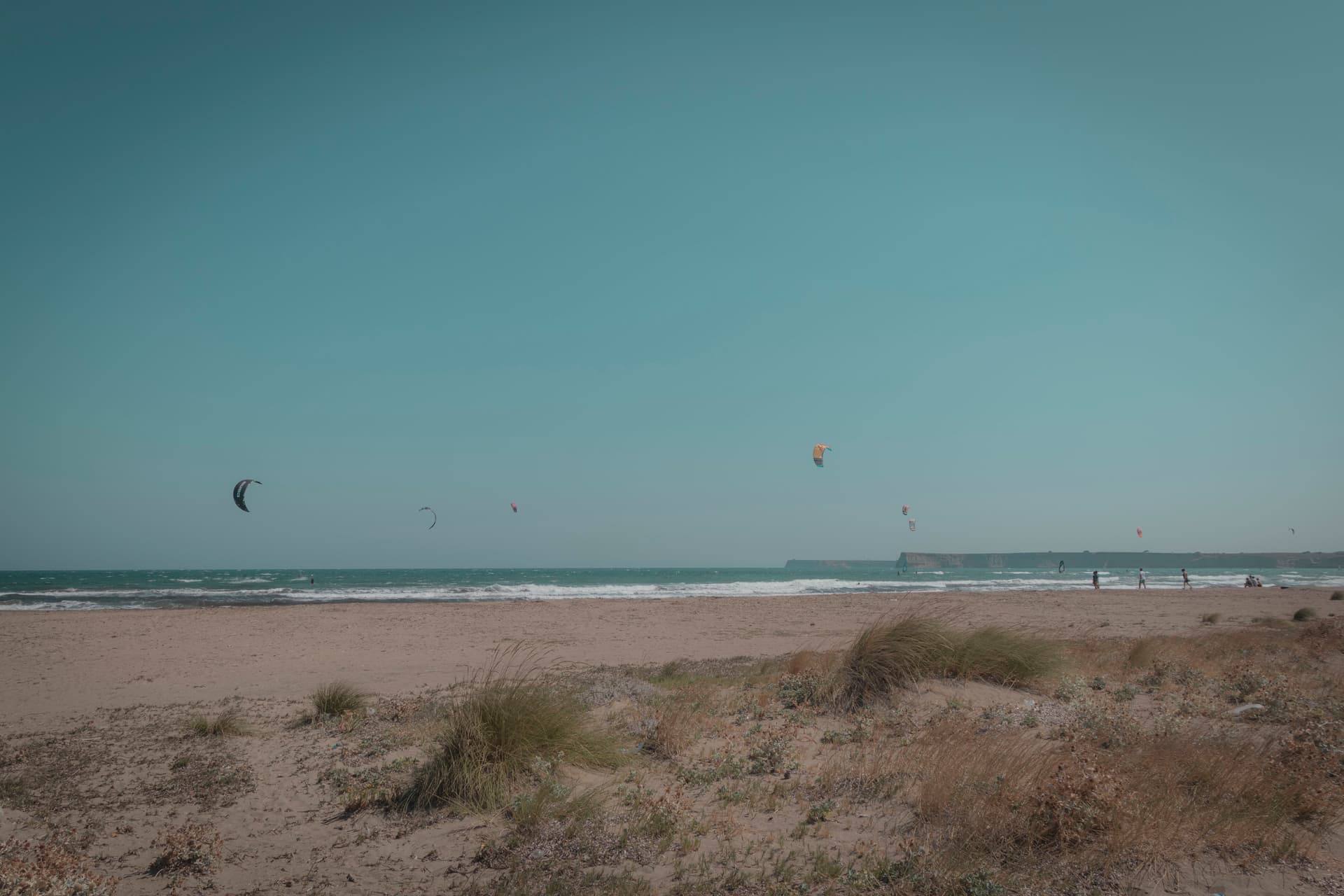 Nevruz Otu - Görsel 4