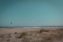 Nevruz Otu - Görsel 4