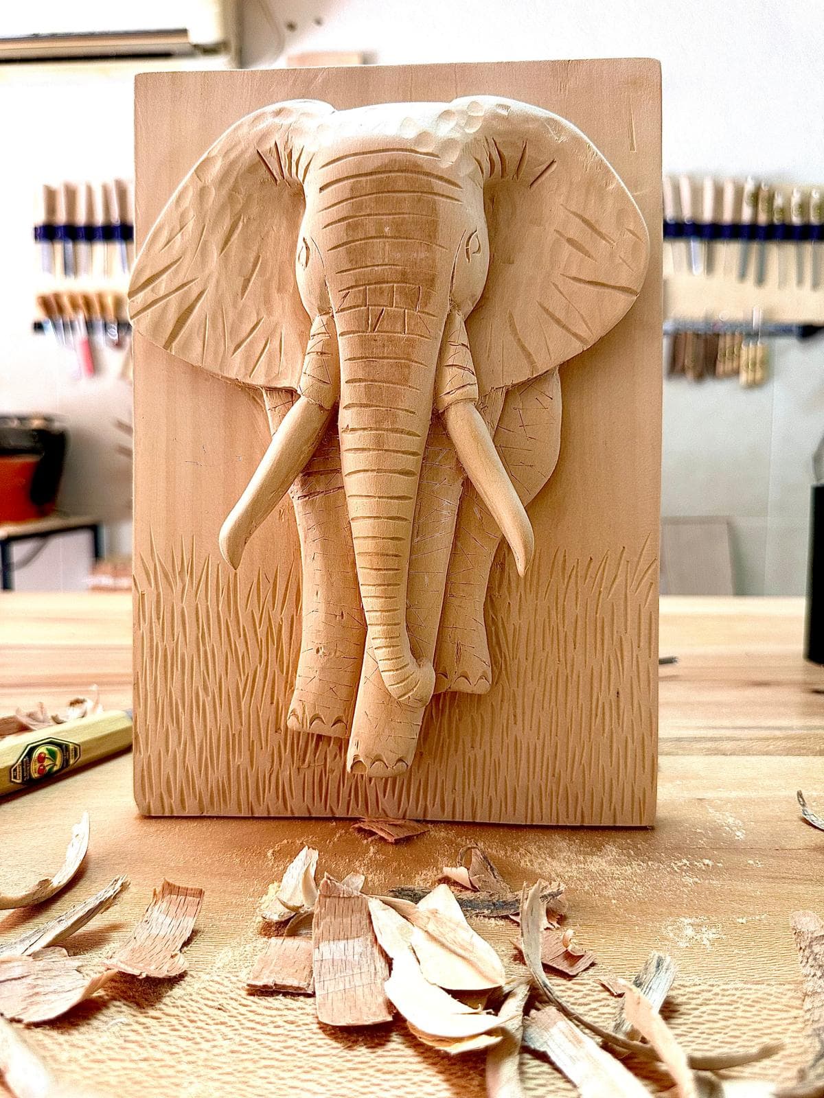 Kudretli Fil - Görsel 1