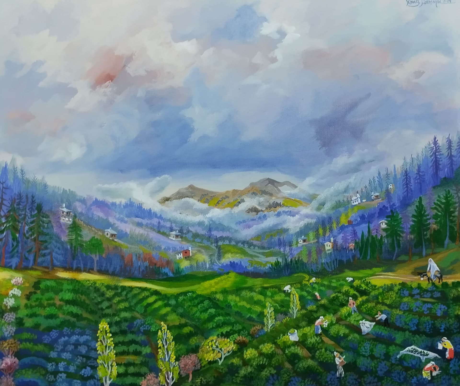 Çay toplama  - Görsel 1