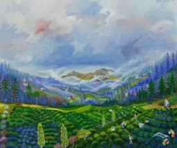 Çay toplama  - Görsel 1