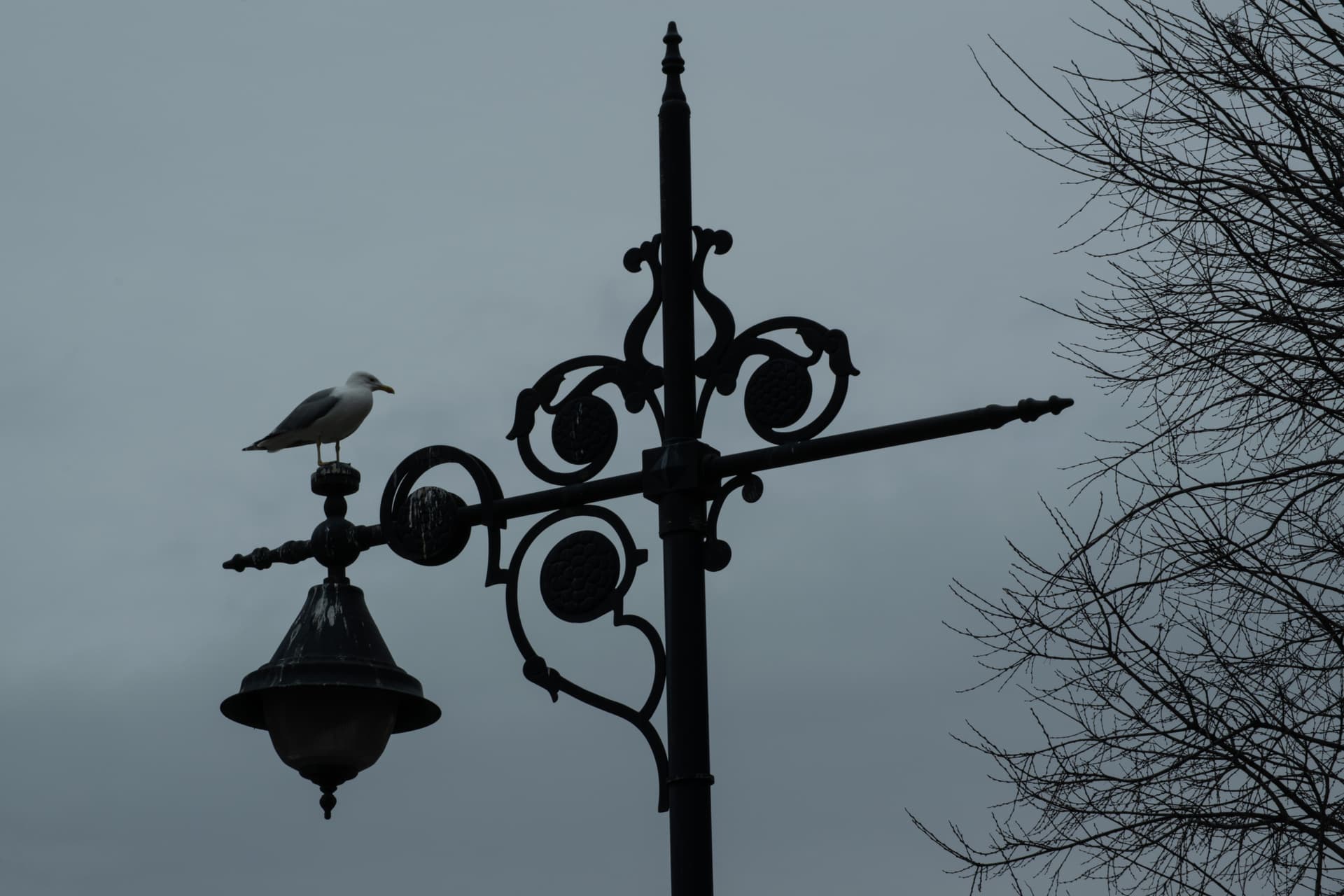 Dinlenme - Görsel 1