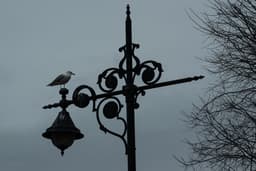 Dinlenme - Görsel 1