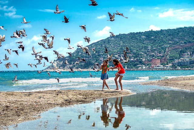 Neşeli Karşılaşma