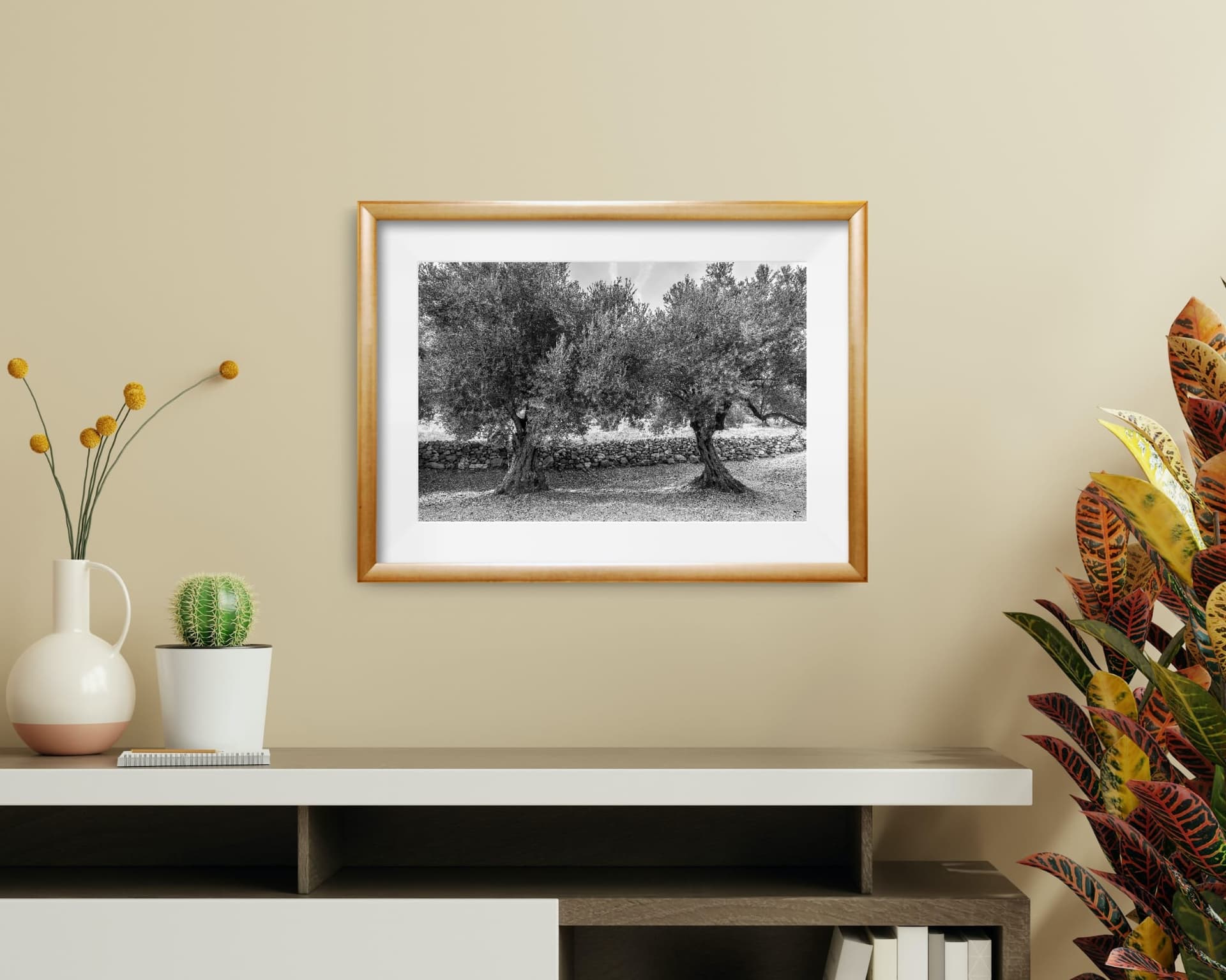 Zeytin Ağacı - 3 - Görsel 3