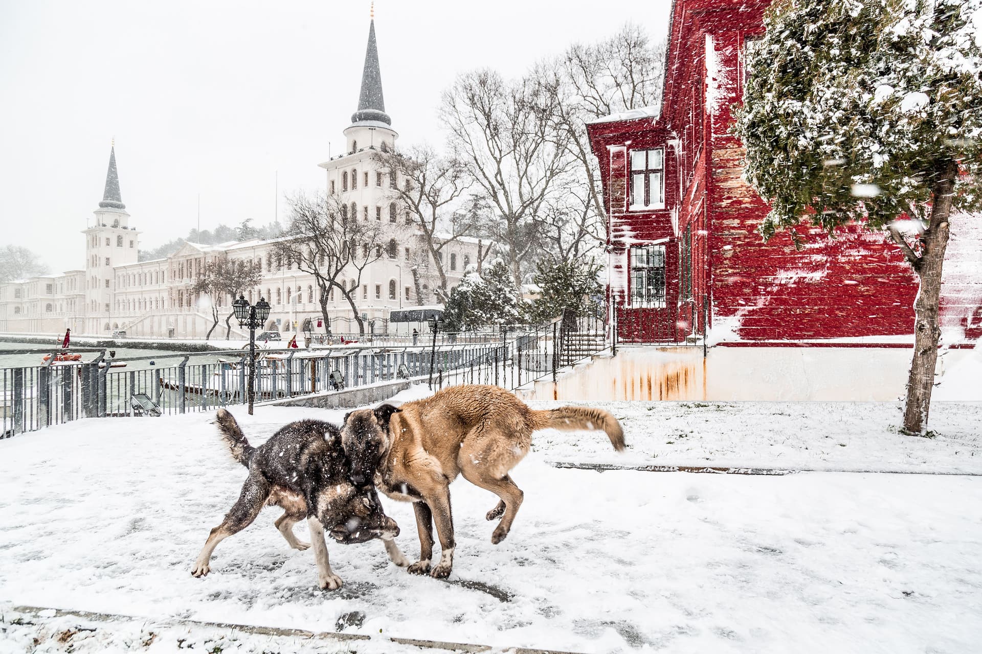 Kuleli'de Kış - Görsel 1