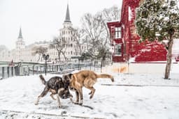 Kuleli'de Kış - Görsel 1