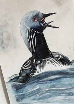 Pacific Loon - Görsel 2