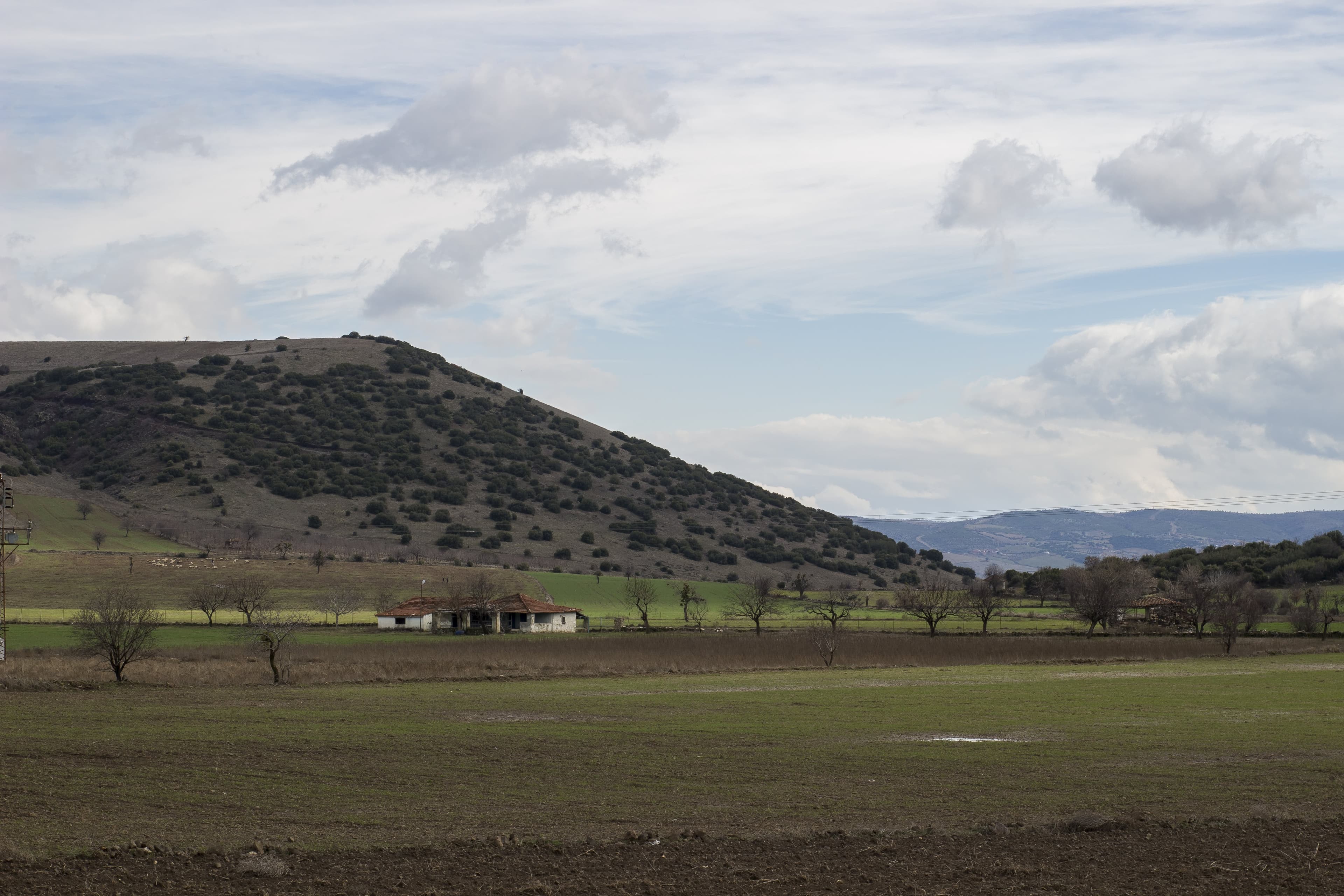 Yalnızlık