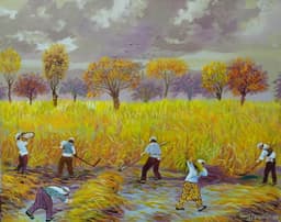 Ekin Hasati - Görsel 1