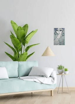 Papaver Somniferum - Görsel 2