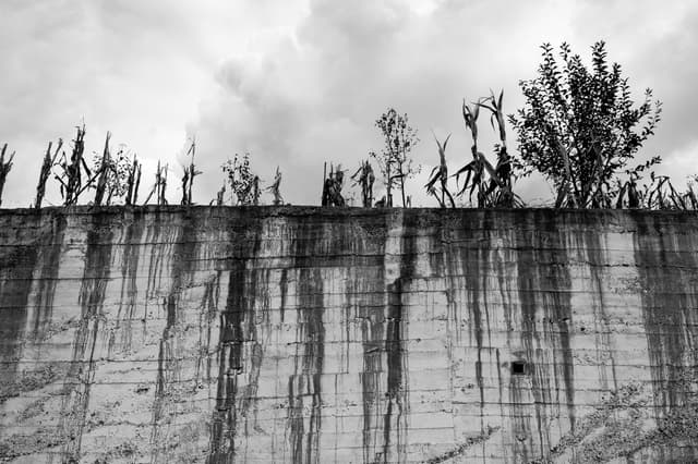 Taşra Fısıltıları 01 - Whispers From The Countryside 01