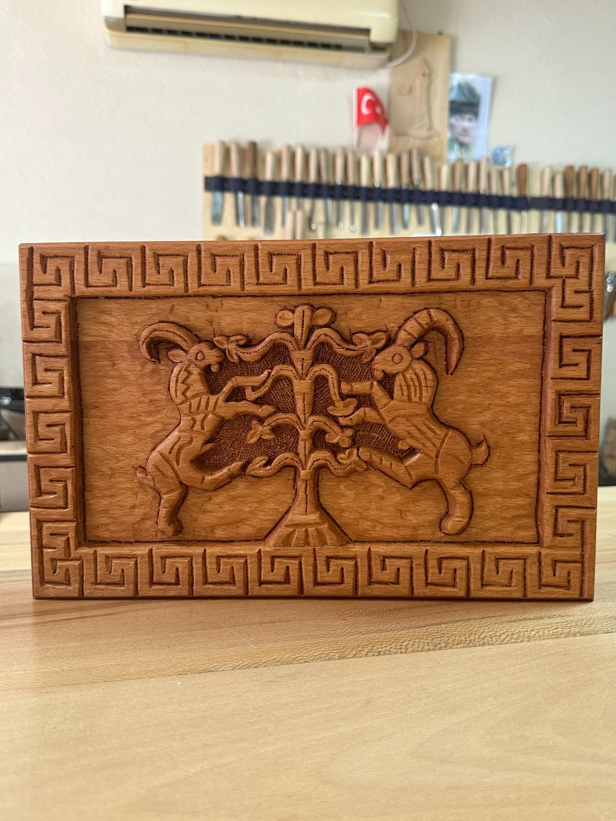 Hayatın Devamlılığı - Görsel 1