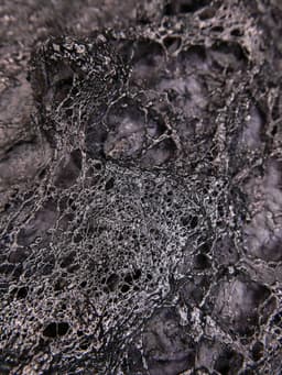 The Old Man and the Sea - Görsel 6