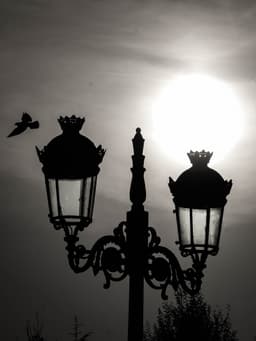 Güneşe karşı - Görsel 1