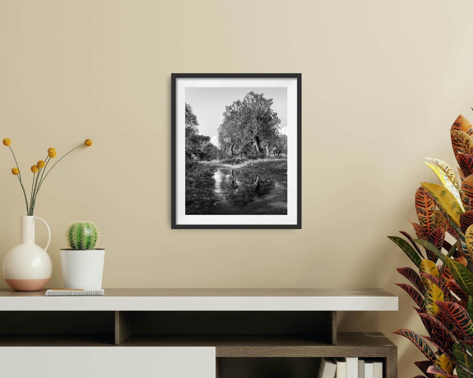 Zeytin Ağacı -2 - Görsel 3