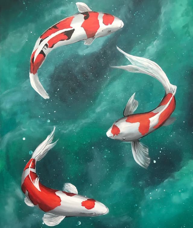 Koi Fish
