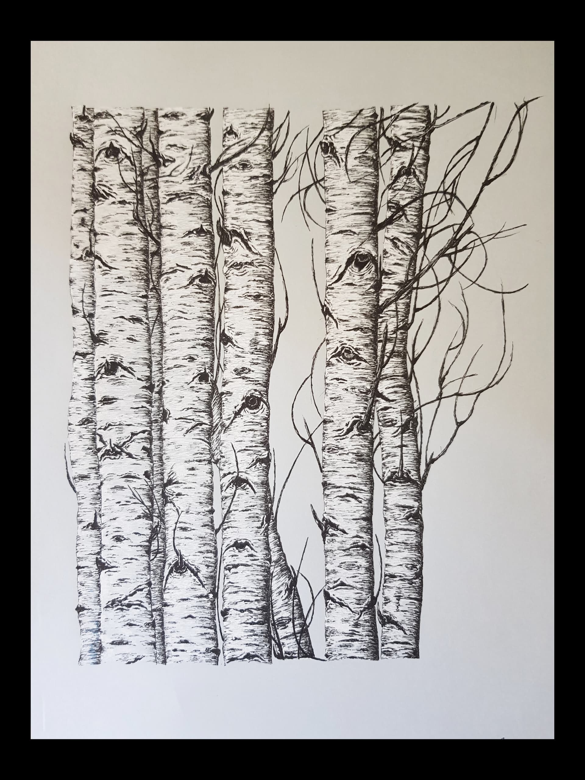 Akkavaklar  - Görsel 1