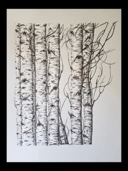 Akkavaklar  - Görsel 1